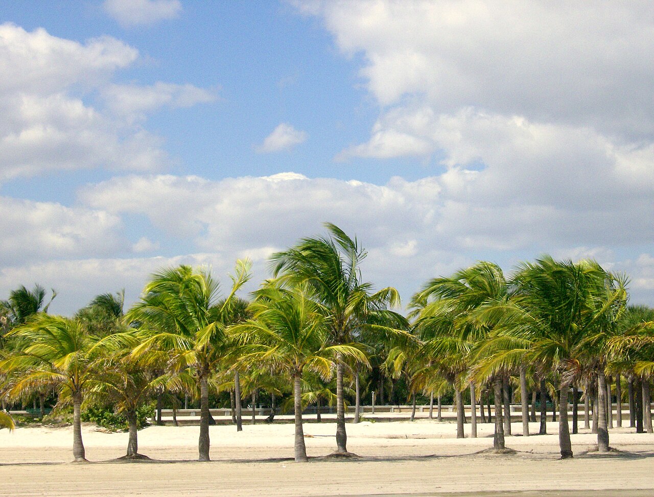 Crandon Park Tennis Center