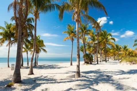 Crandon Park