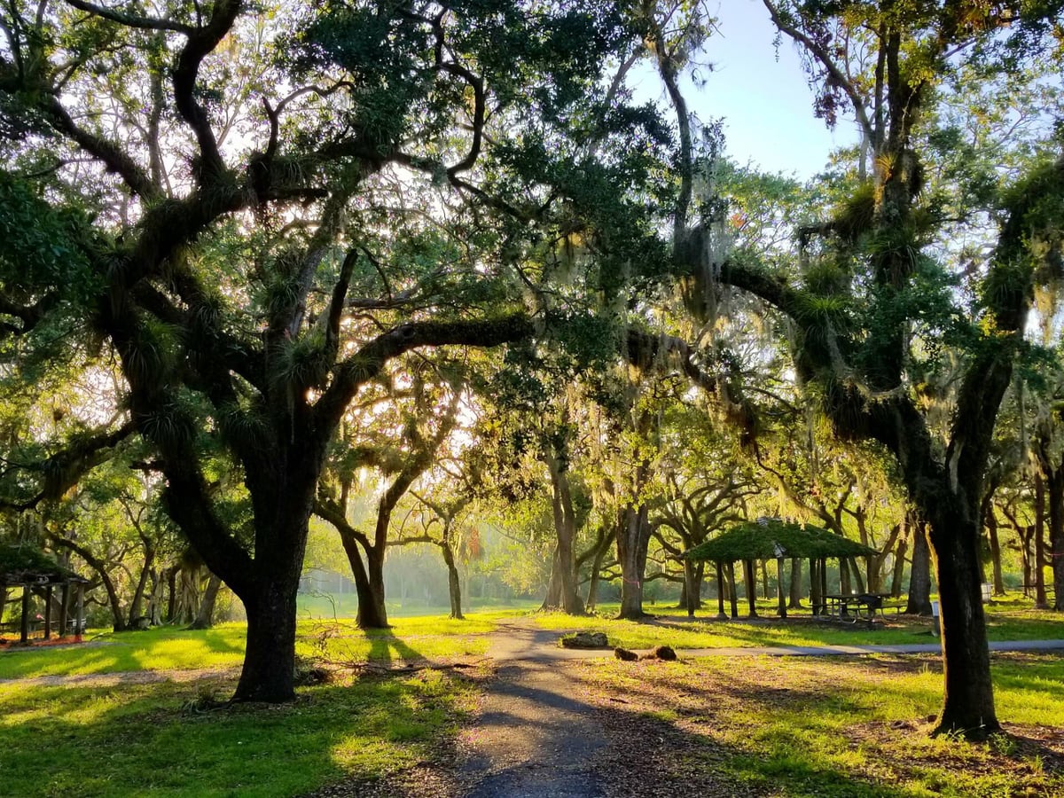 Matheson Hammock