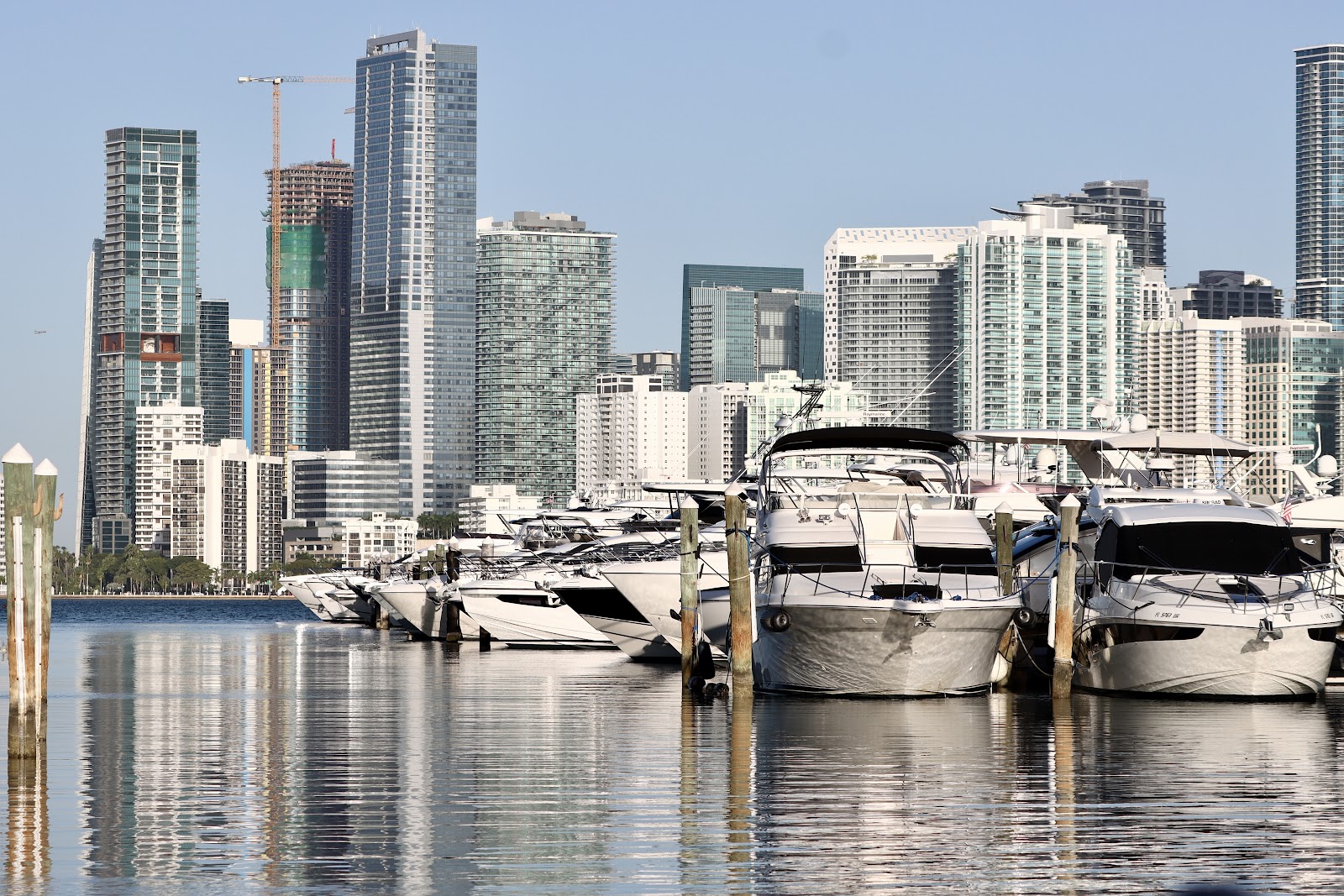 Rickenbacker Marina
