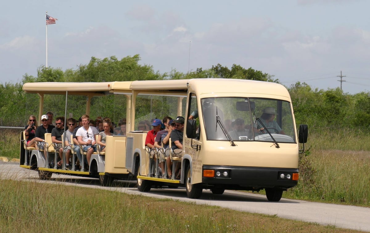 Shark Valley Tram Tours