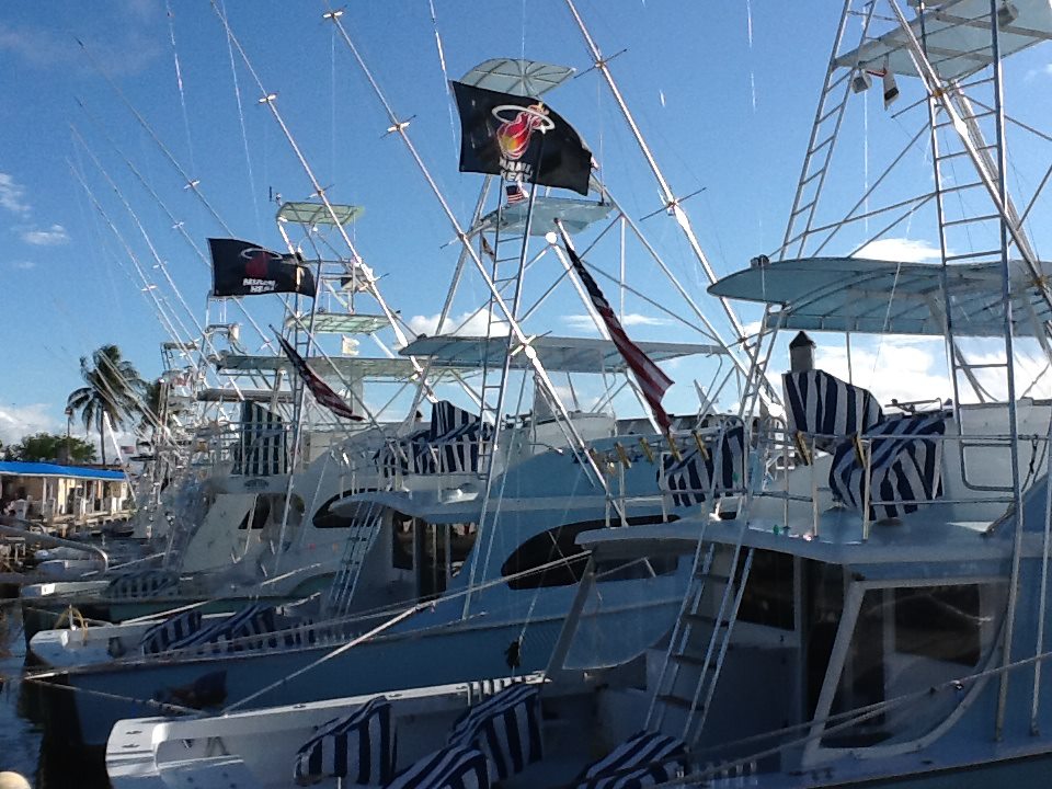 Therapy IV Deep Sea Fishing